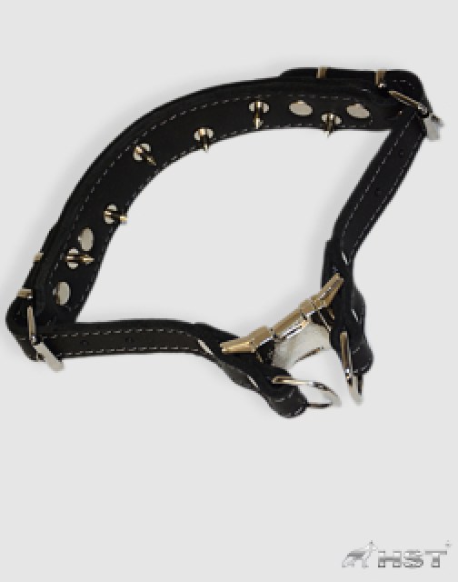P050K Collar entrenamiento cuero 1 cm